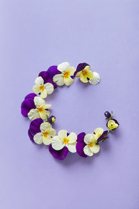 High angle view of purple flowers against white background