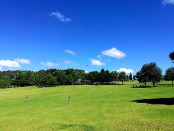 Scenic view of golf course against blue sky