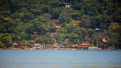 Scenic view of sea against trees