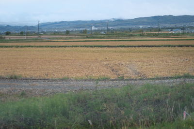 Scenic view of field against sky