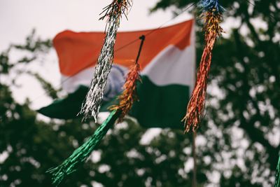 Low angle view of flags hanging from tree