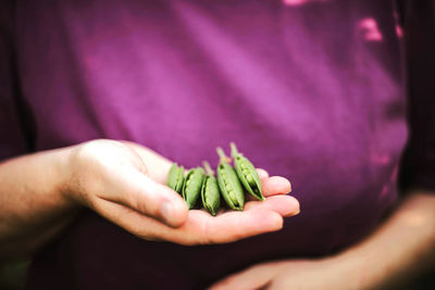 Close-up of hand holding purple