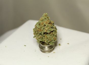 Close-up of marijuana on coins over table