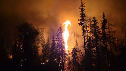 Forest fire in the night of a wildland firefighter 