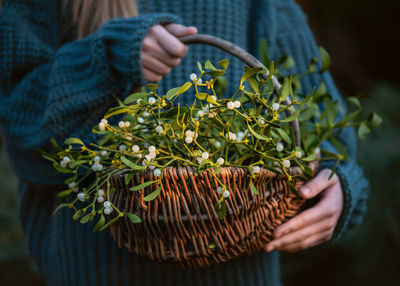 Young girl holding a wicker basket with mistletoe branches with green leaves and white berries.