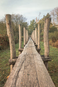 View of empty footpath in forest