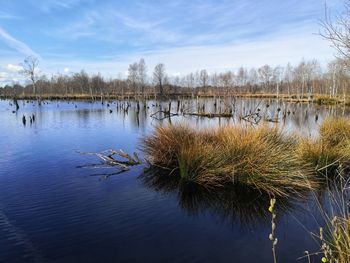 Scenic view of lake against sky