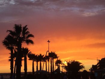 Silhouette of palm trees at sunset