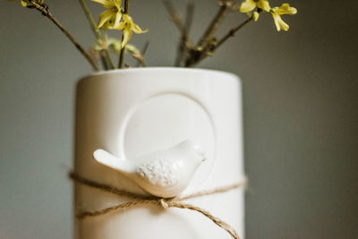 Close-up of white flower in vase