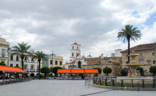 Palm trees and buildings in city against sky