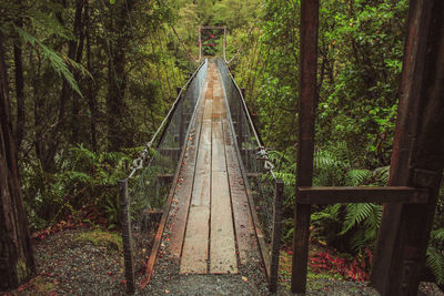 Footbridge amidst trees in forest