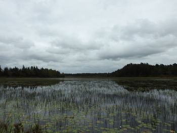 Scenic view of lake against cloudy sky