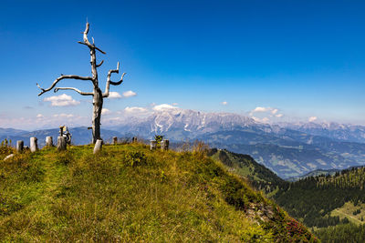 Scenic view of landscape against blue sky