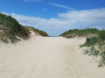 Scenic view of beach against sky