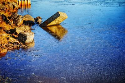 Scenic view of sea