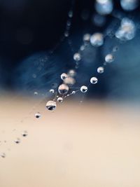 Close-up of water drops on spider thread