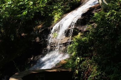 Scenic view of waterfall in forest