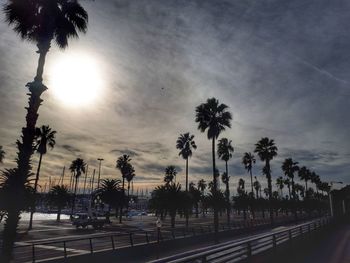 Silhouette palm trees against sky during sunset