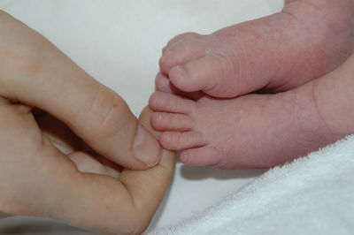 Close-up of father holding baby hand