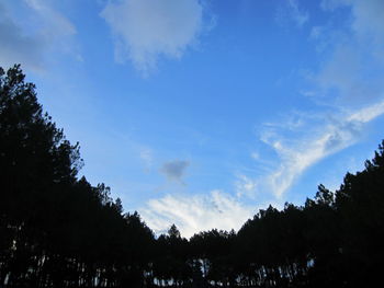 Low angle view of silhouette trees against blue sky