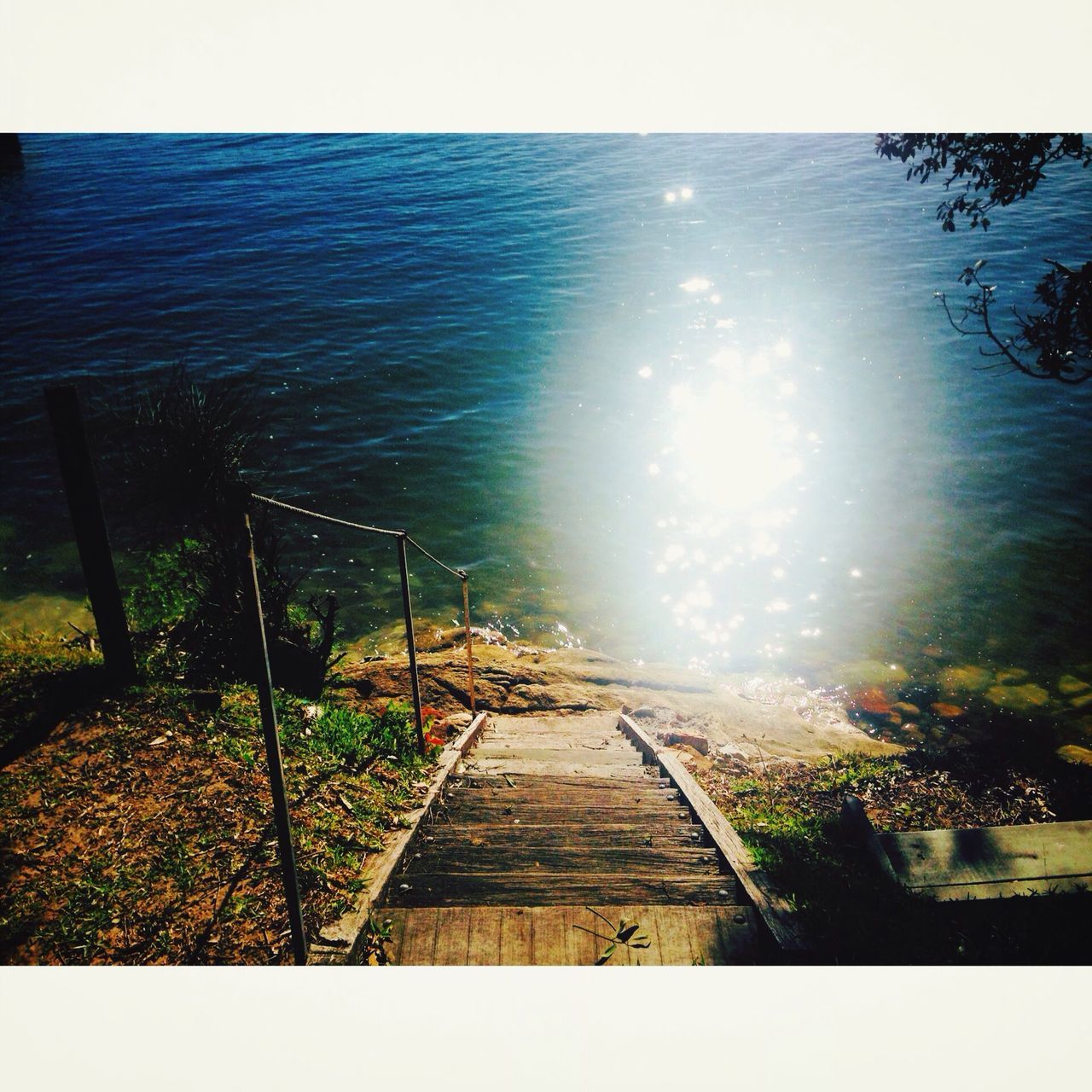 transfer print, water, auto post production filter, tranquility, sea, tranquil scene, sunlight, the way forward, nature, scenics, horizon over water, beauty in nature, sky, railing, pier, wood - material, plant, day, jetty, idyllic