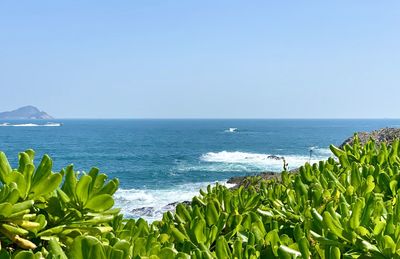 Scenic view of sea against clear sky