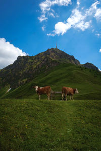 Horses grazing on field against sky