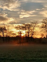 Silhouette trees on field against sky at sunset