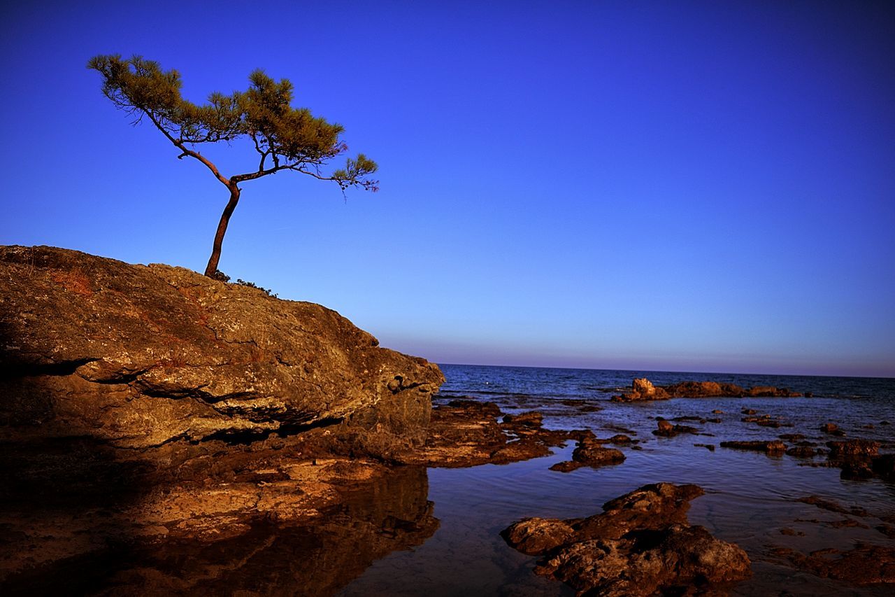 nature, clear sky, beauty in nature, rock - object, scenics, tranquil scene, tranquility, sea, rock formation, blue, outdoors, no people, water, horizon over water, sky, tree, day