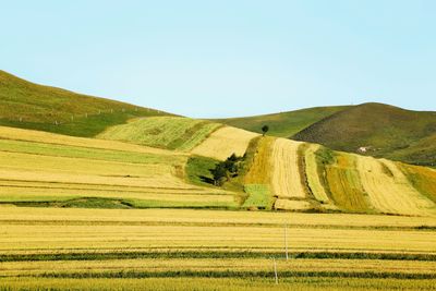 Scenic view of landscape against clear sky