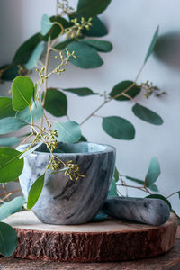 Close-up of potted plant on table