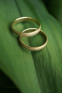 Close-up of wedding rings on leaf
