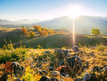 Scenic view of field against sky during sunset