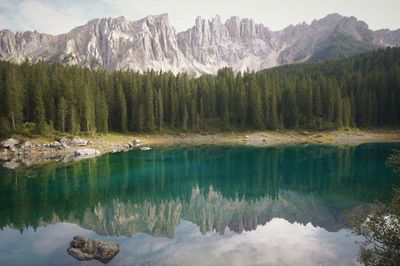 Reflection of trees in lake