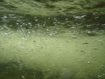 Full frame shot of wet bubbles in water