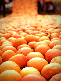 Close-up of oranges for sale at market stall