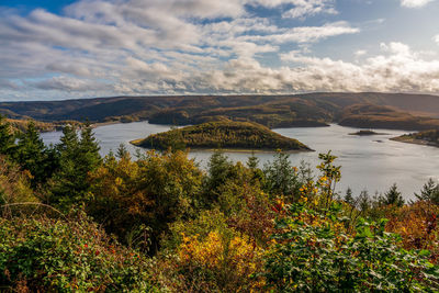 Panoramic view on rur lake in the eifel national park, germany