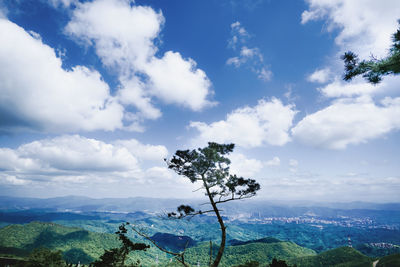 Scenic view of tree by mountains against sky