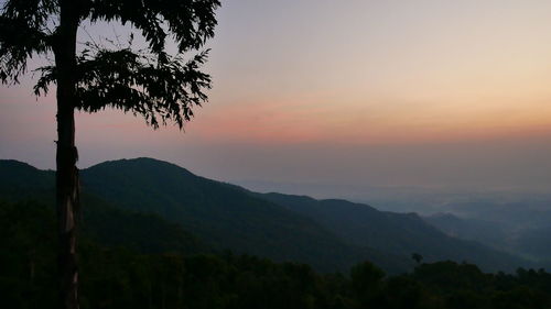 Silhouette trees against mountains during sunset