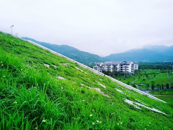 View of green landscape with mountain in background