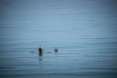 Reflection of people in water