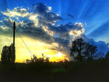 Silhouette trees against sky during sunset