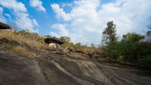 View of dirt road amidst trees against sky