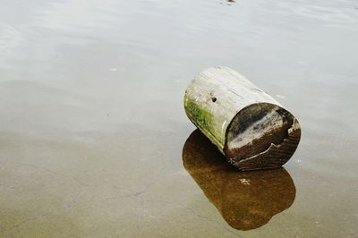 High angle view of rusty water