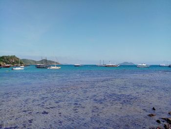 Sailboats moored on sea against sky