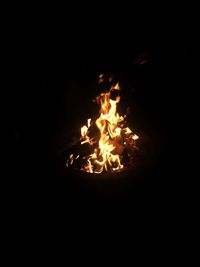 Close-up of bonfire at night