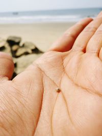 Close-up of hand holding hands at beach