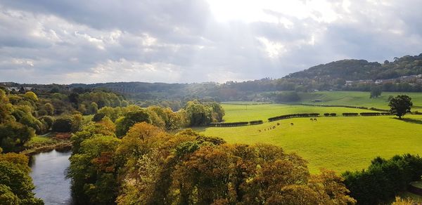 Panoramic shot of trees on landscape against sky