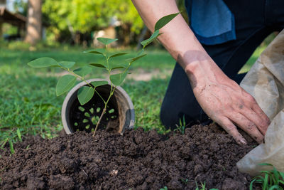 Close-up of man planting plant in park