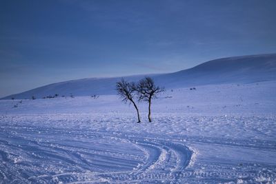 Scenic view of snow covered mountains